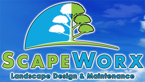 ScapeWorx Landscape Design & Maintenance