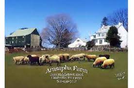 Arasapha Farm / Agritainment Inc.